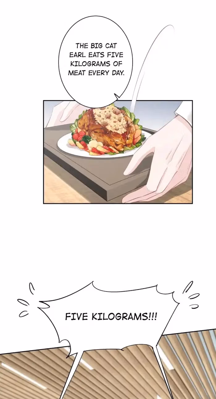 Read The Cat Whisperer chapter 3 image 27 on Lezhin