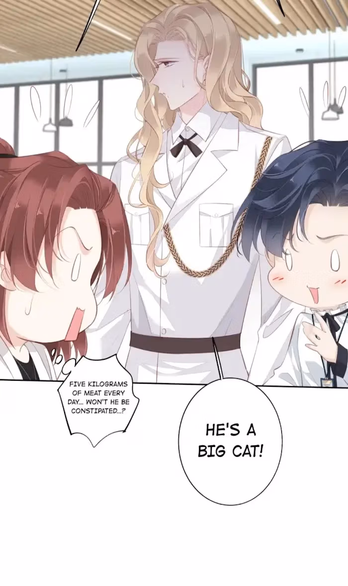 Read The Cat Whisperer chapter 3 image 28 on Lezhin