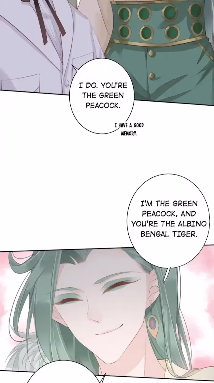 Read The Cat Whisperer chapter 3 image 33 on Lezhin