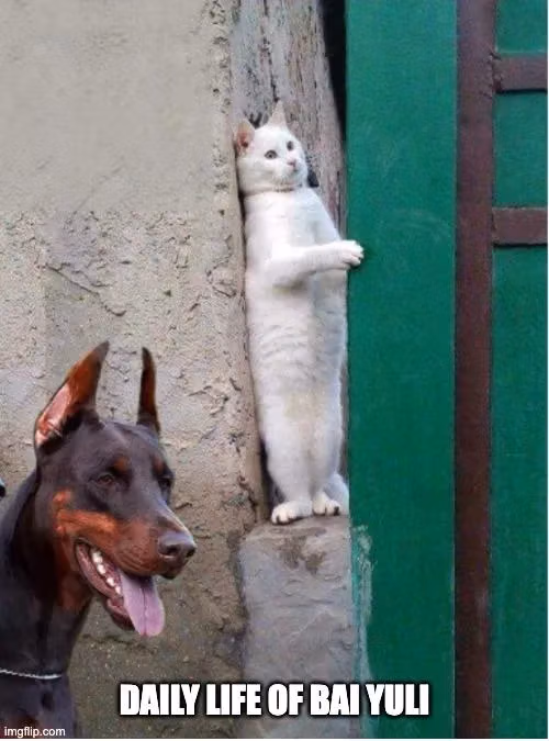 Read The Cat Whisperer chapter 49 image 5 on Lezhin