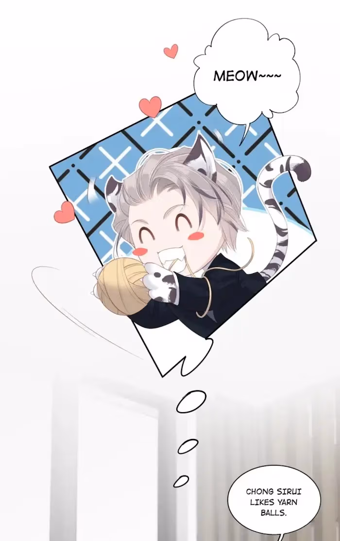 Read The Cat Whisperer chapter 5 image 19 on Lezhin