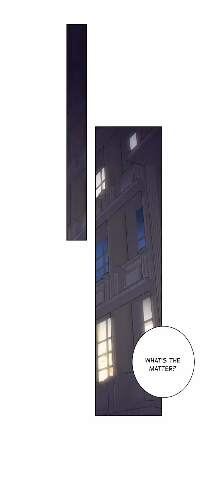 Read The Cat Whisperer chapter 5 image 34 on Lezhin