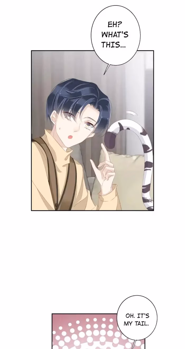 Read The Cat Whisperer chapter 5 image 42 on Lezhin