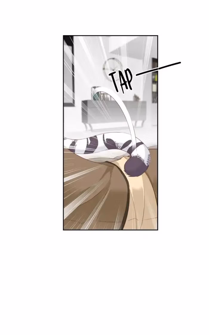 Read The Cat Whisperer chapter 6 image 13 on Lezhin