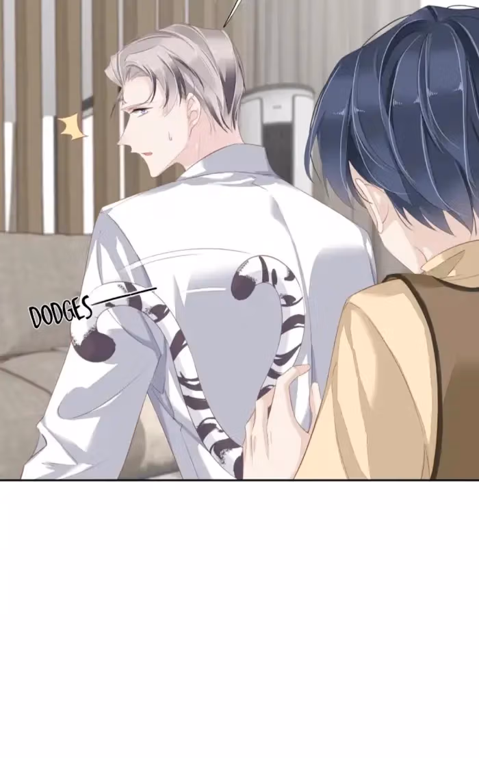 Read The Cat Whisperer chapter 6 image 4 on Lezhin