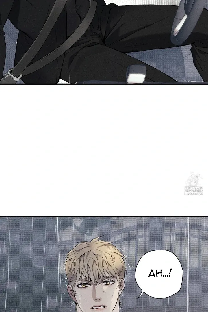 Read The Changed Alpha chapter 1 image 79 on Lezhin