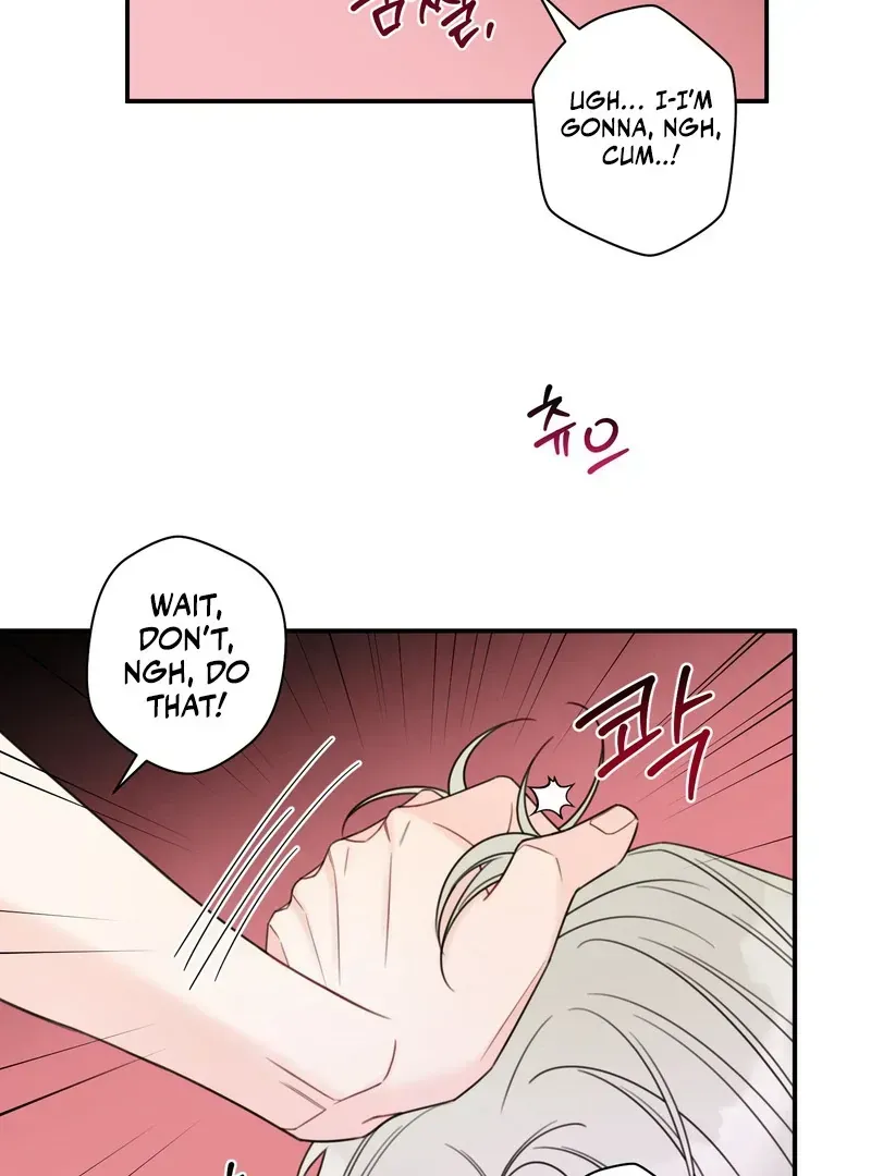 Read The Cherry Boy