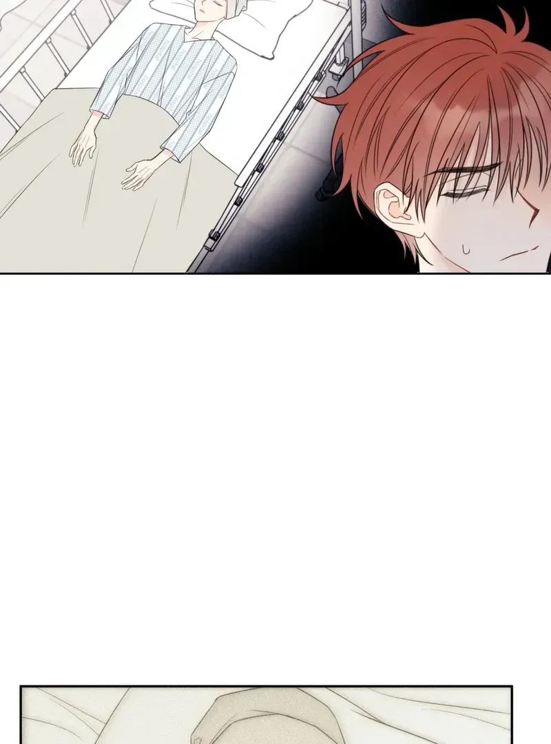 Read The Cherry Boy