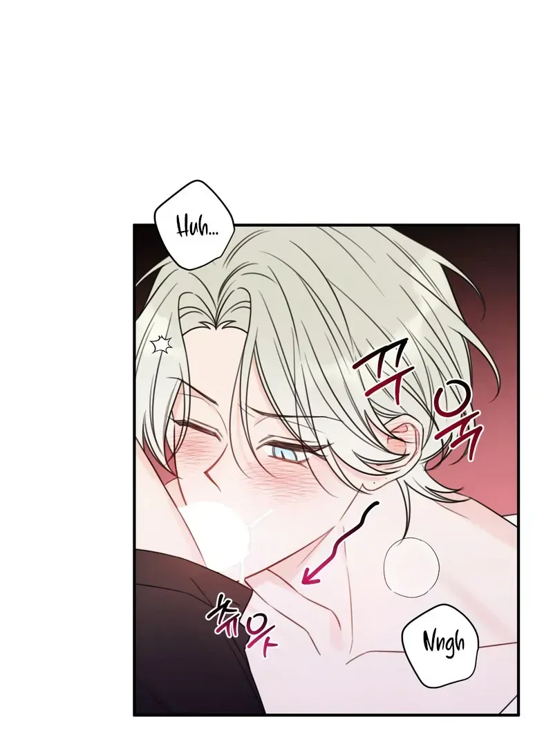 Read The Cherry Boy