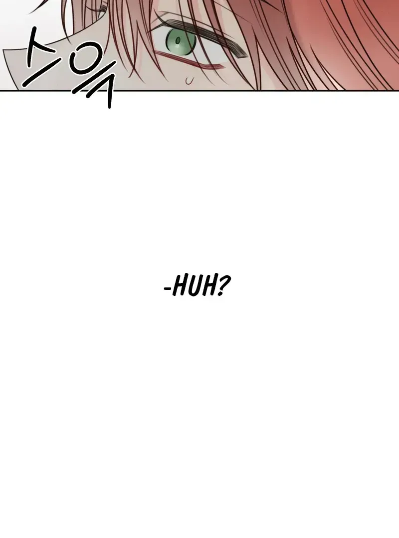 Read The Cherry Boy