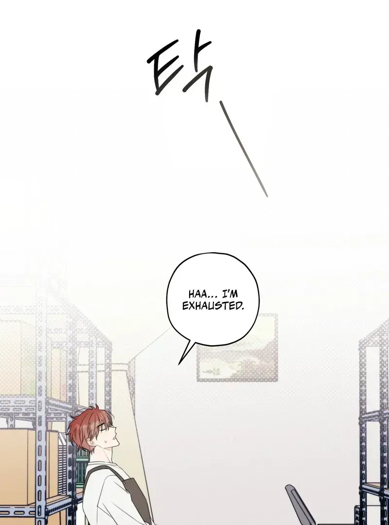 Read The Cherry Boy
