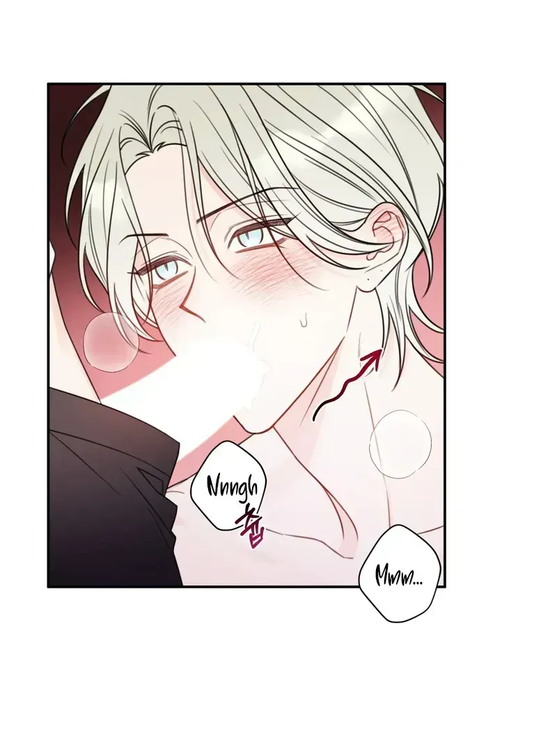 Read The Cherry Boy