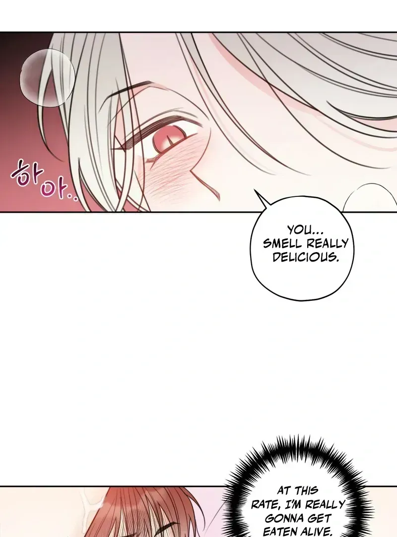 Read The Cherry Boy