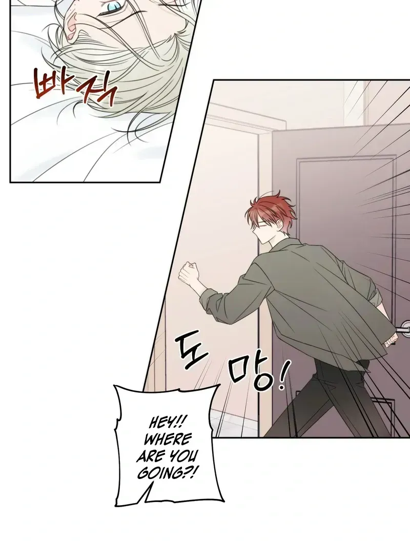 Read The Cherry Boy