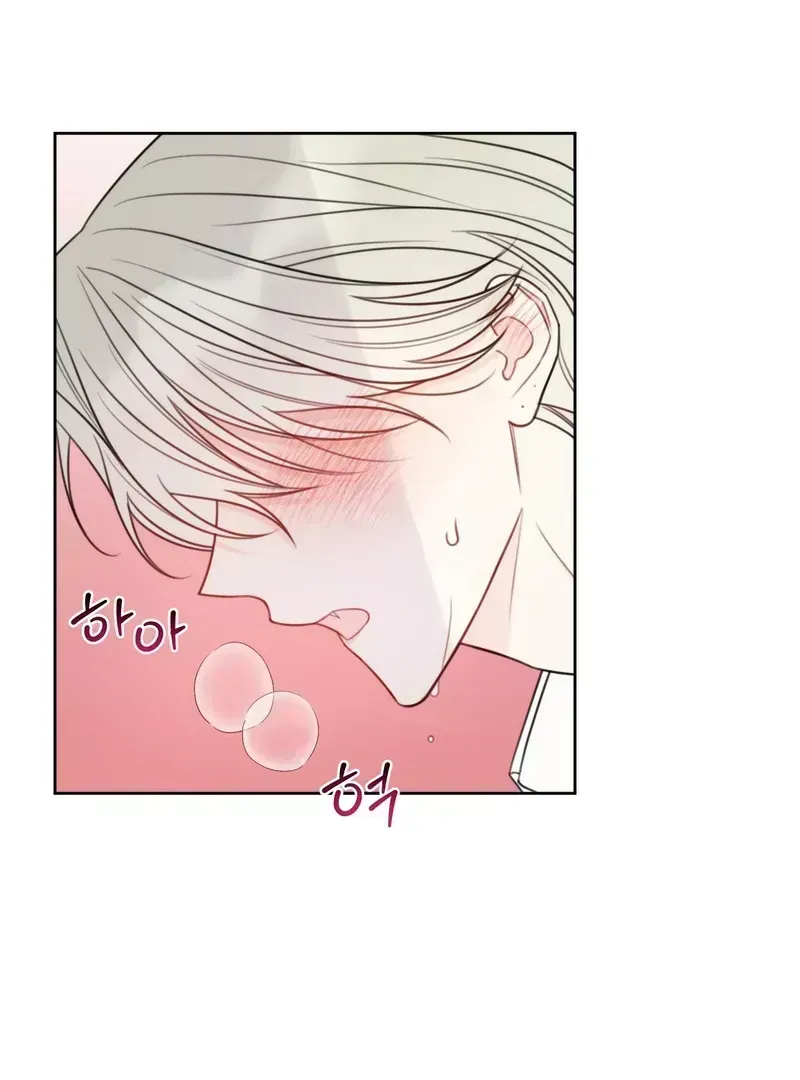Read The Cherry Boy