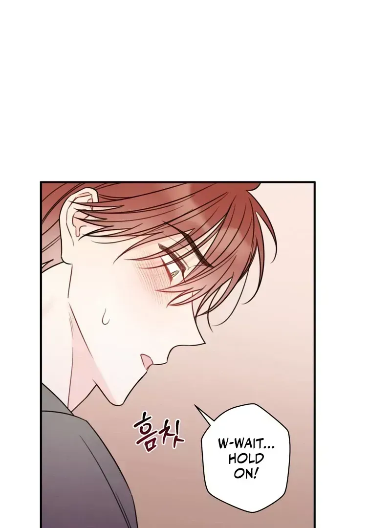Read The Cherry Boy