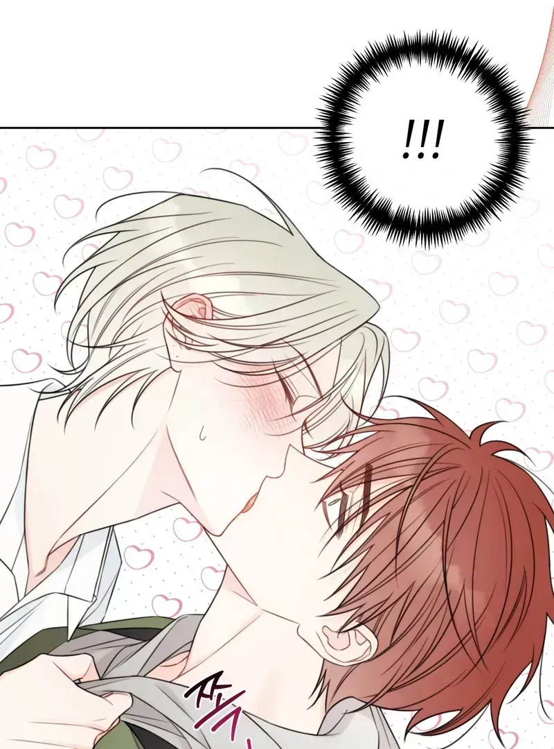 Read The Cherry Boy