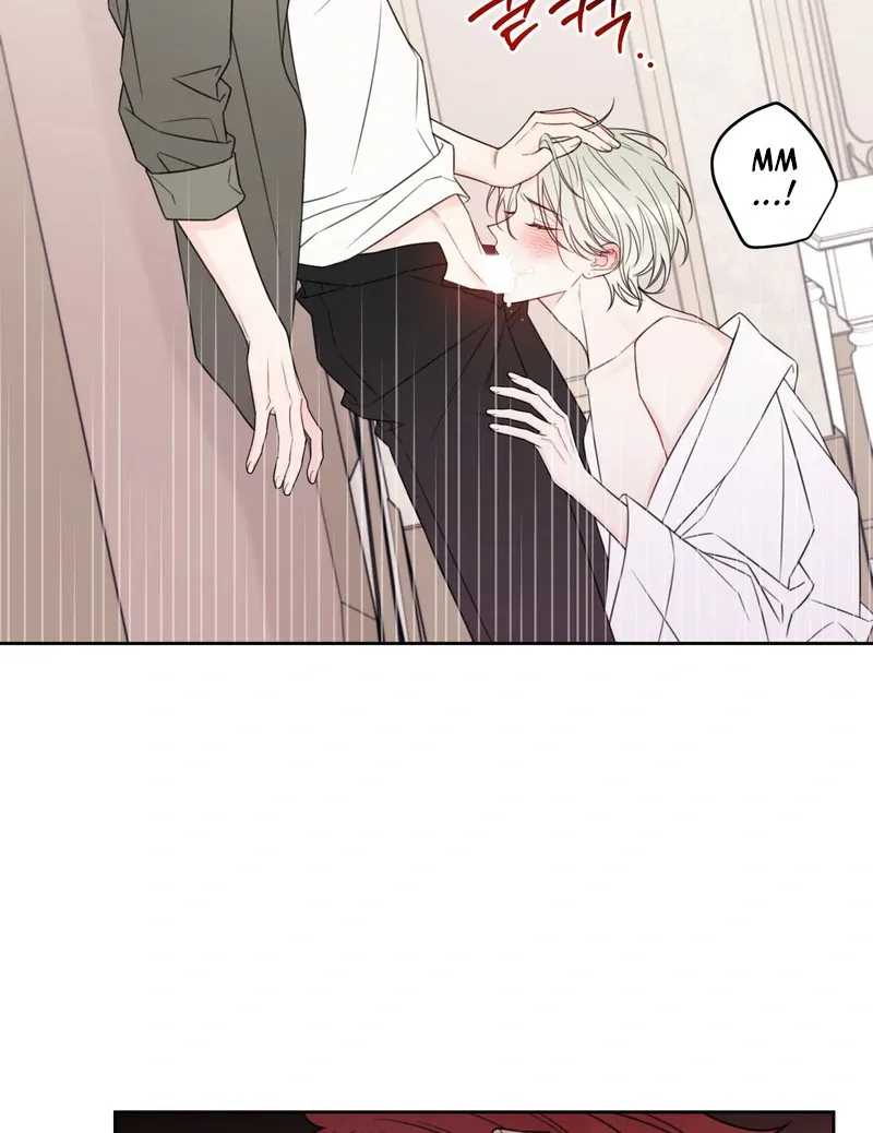 Read The Cherry Boy