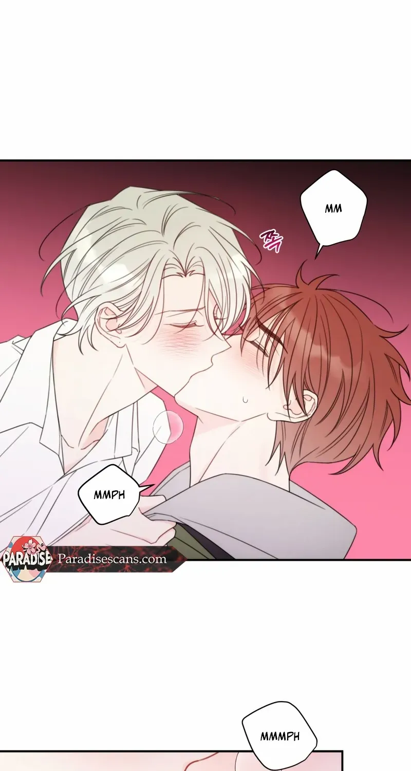 Read The Cherry Boy