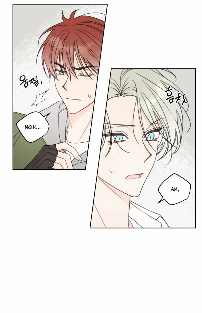 Read The Cherry Boy