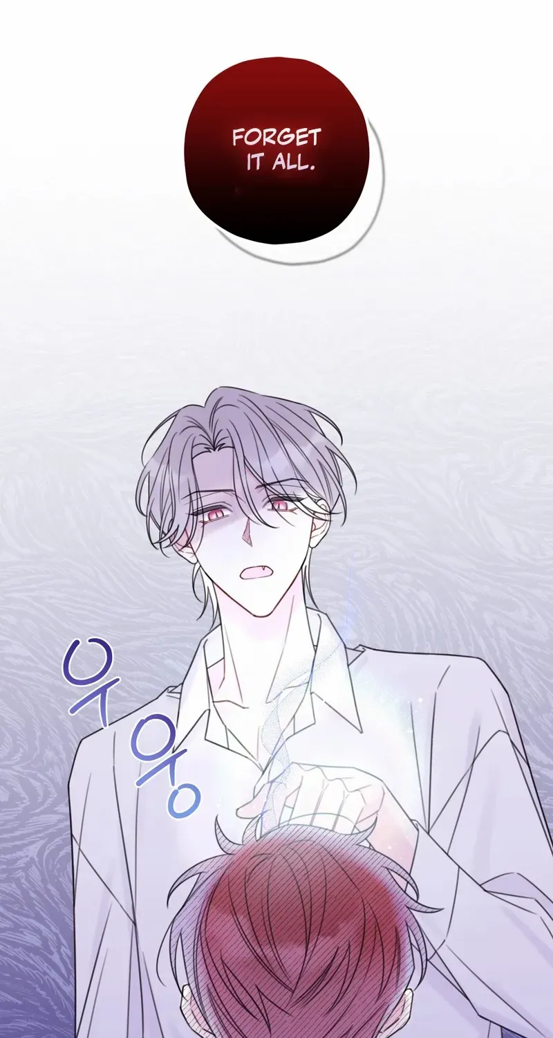 Read The Cherry Boy