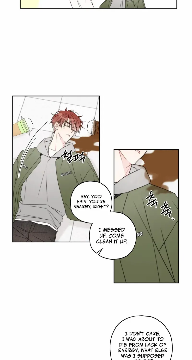 Read The Cherry Boy