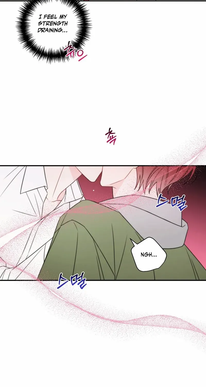Read The Cherry Boy