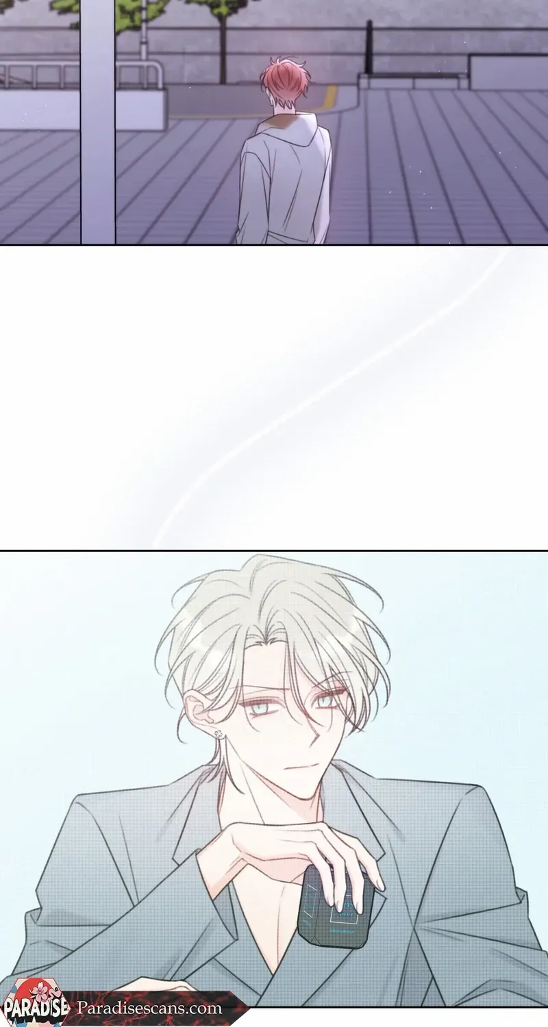 Read The Cherry Boy