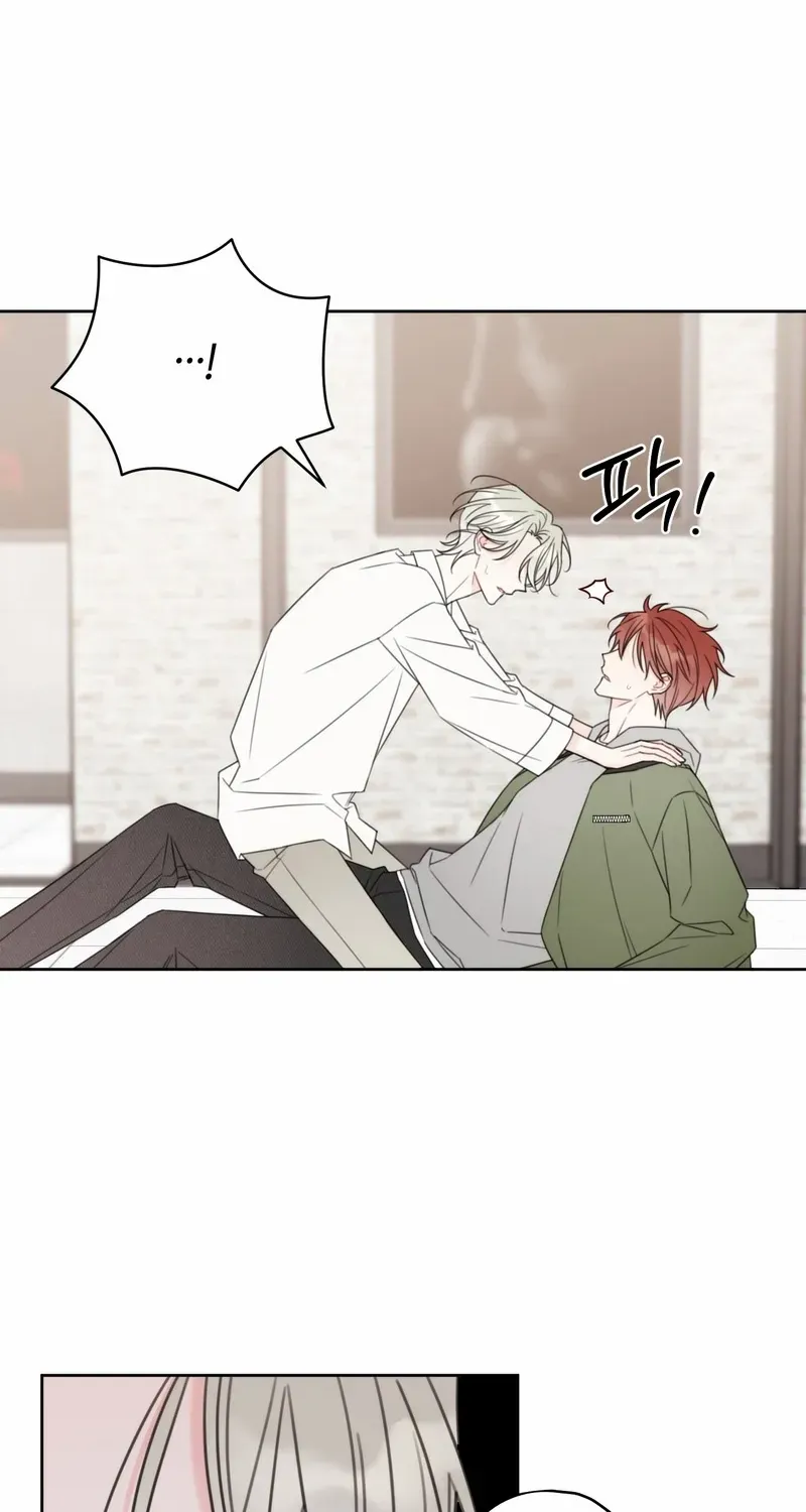 Read The Cherry Boy