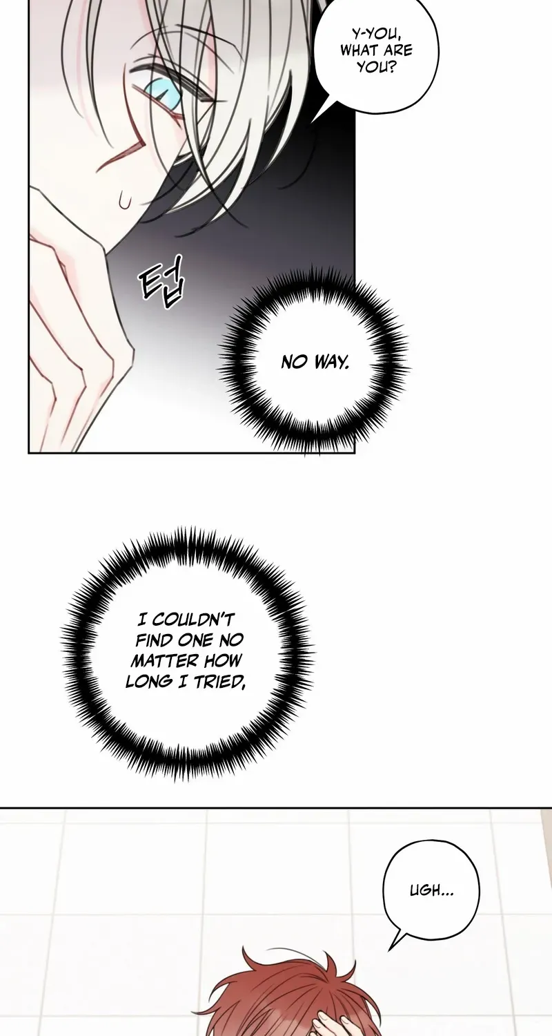 Read The Cherry Boy