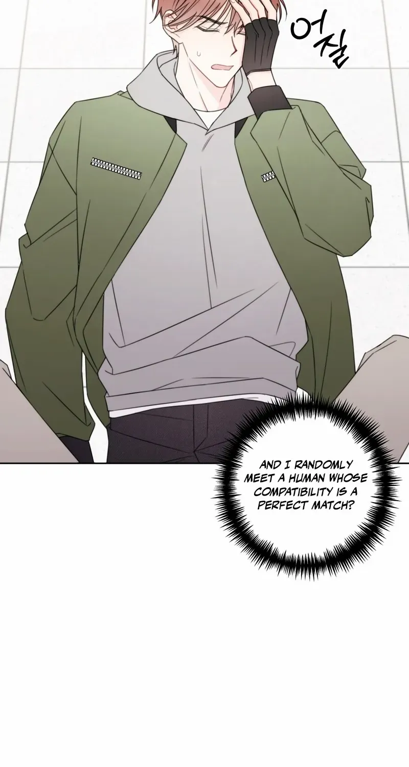 Read The Cherry Boy