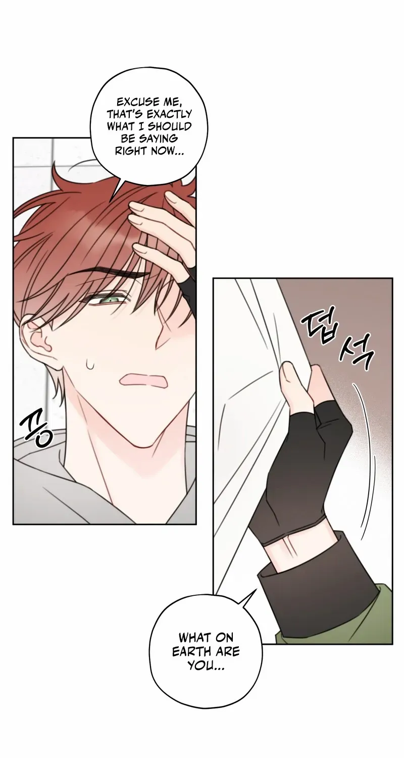 Read The Cherry Boy