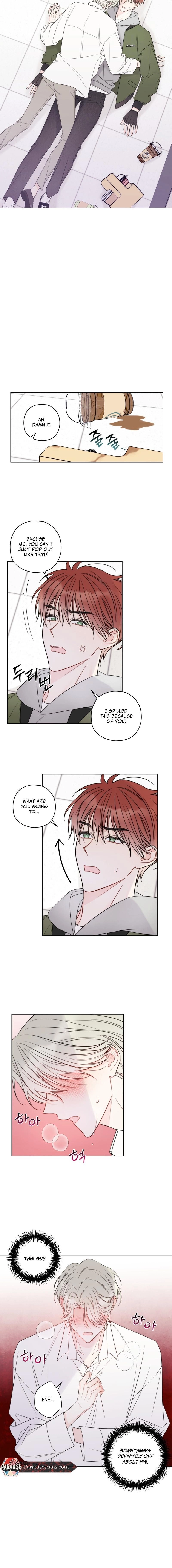 Read The Cherry Boy