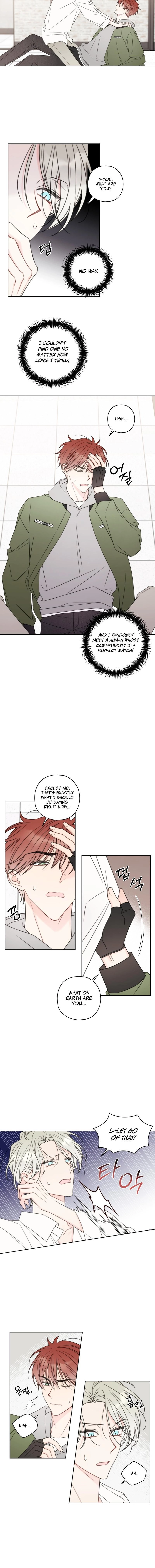 Read The Cherry Boy