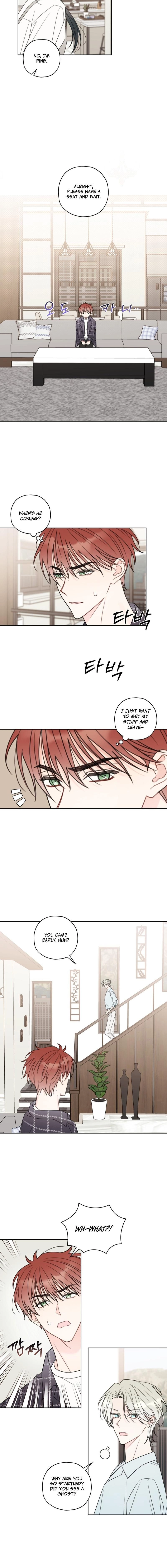 Read The Cherry Boy
