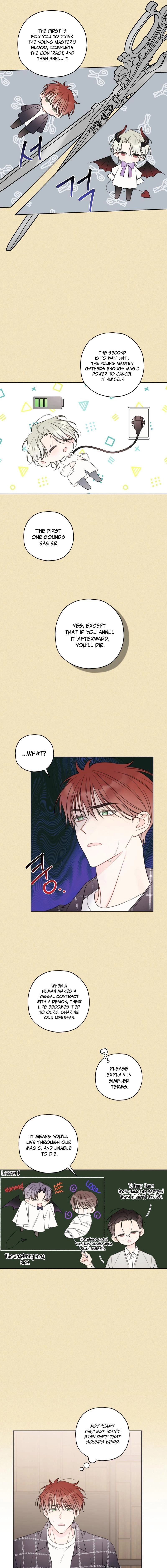 Read The Cherry Boy