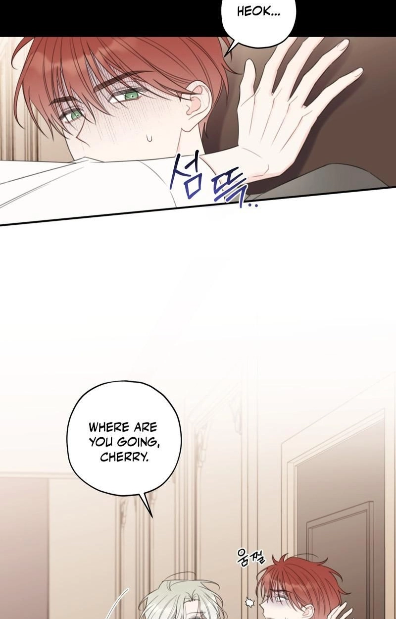 Read The Cherry Boy