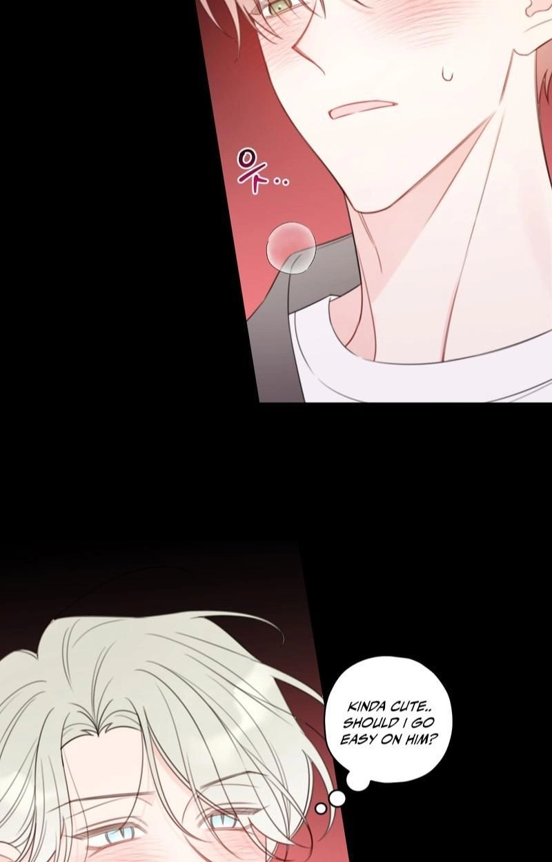 Read The Cherry Boy