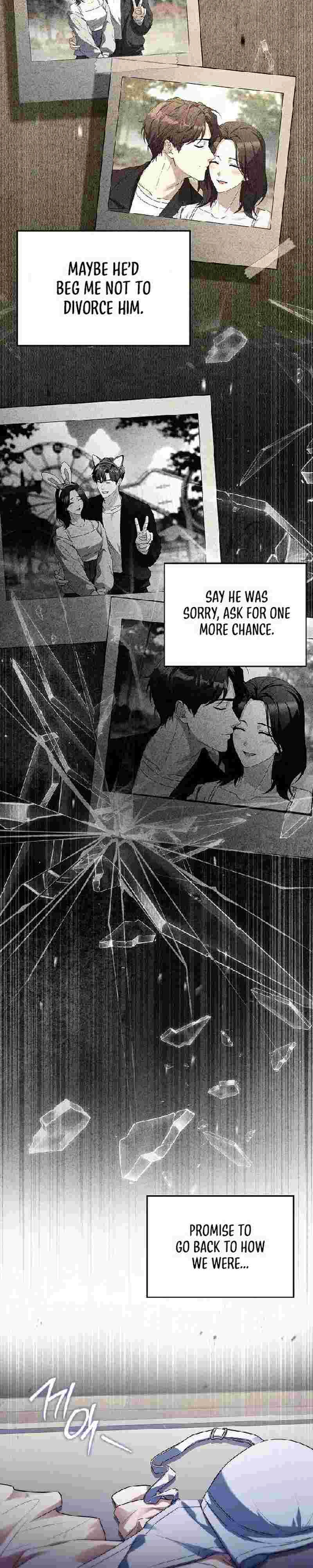 Read The Child Conceived After Divorce chapter 2 image 20 on Lezhin