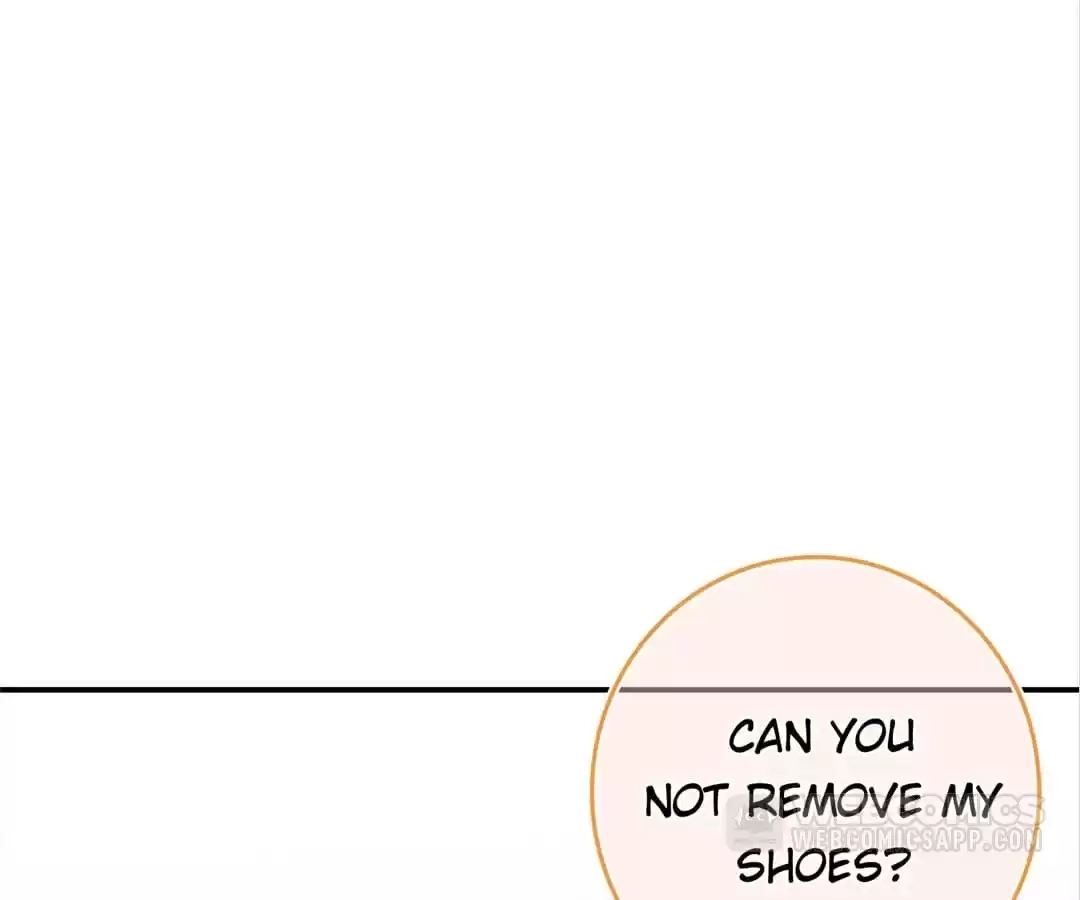 The Cinderella's Trap Chapter 10 page 17 - 