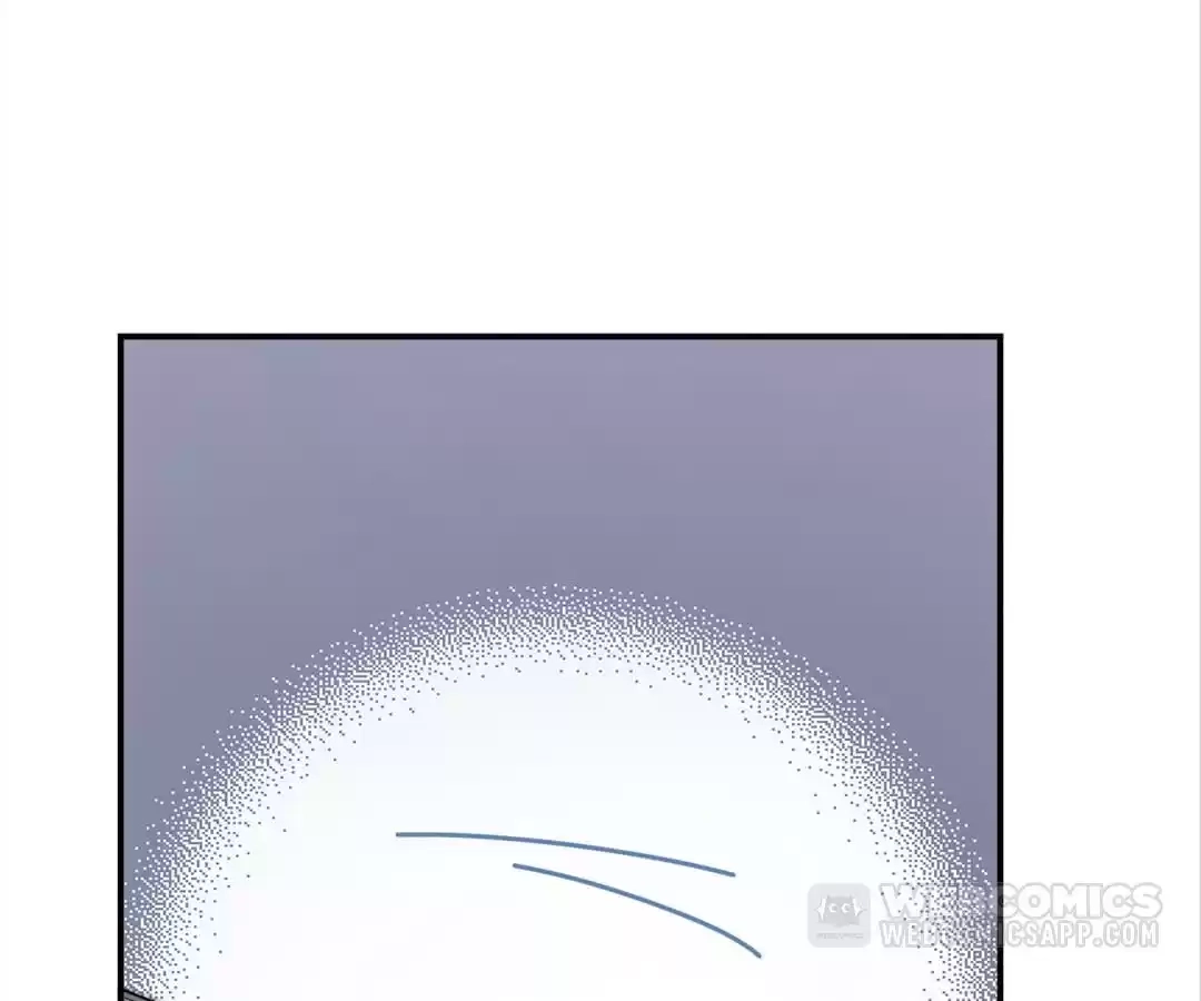 The Cinderella's Trap Chapter 25 page 42 - 