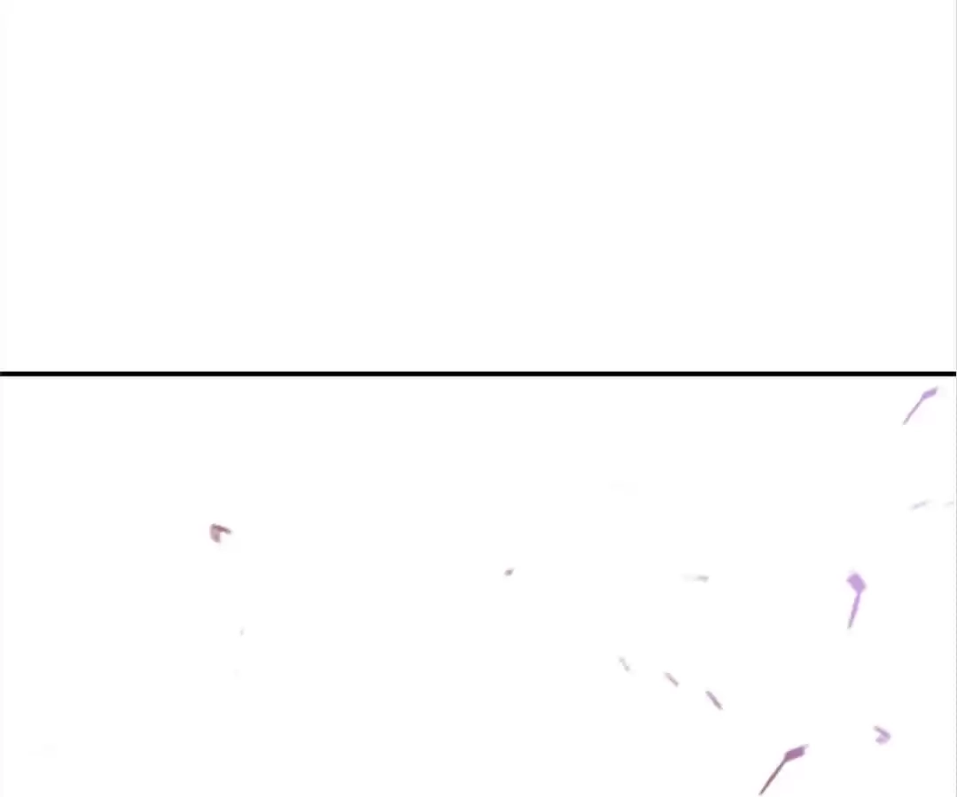 The Cinderella's Trap Chapter 27 page 59 - 