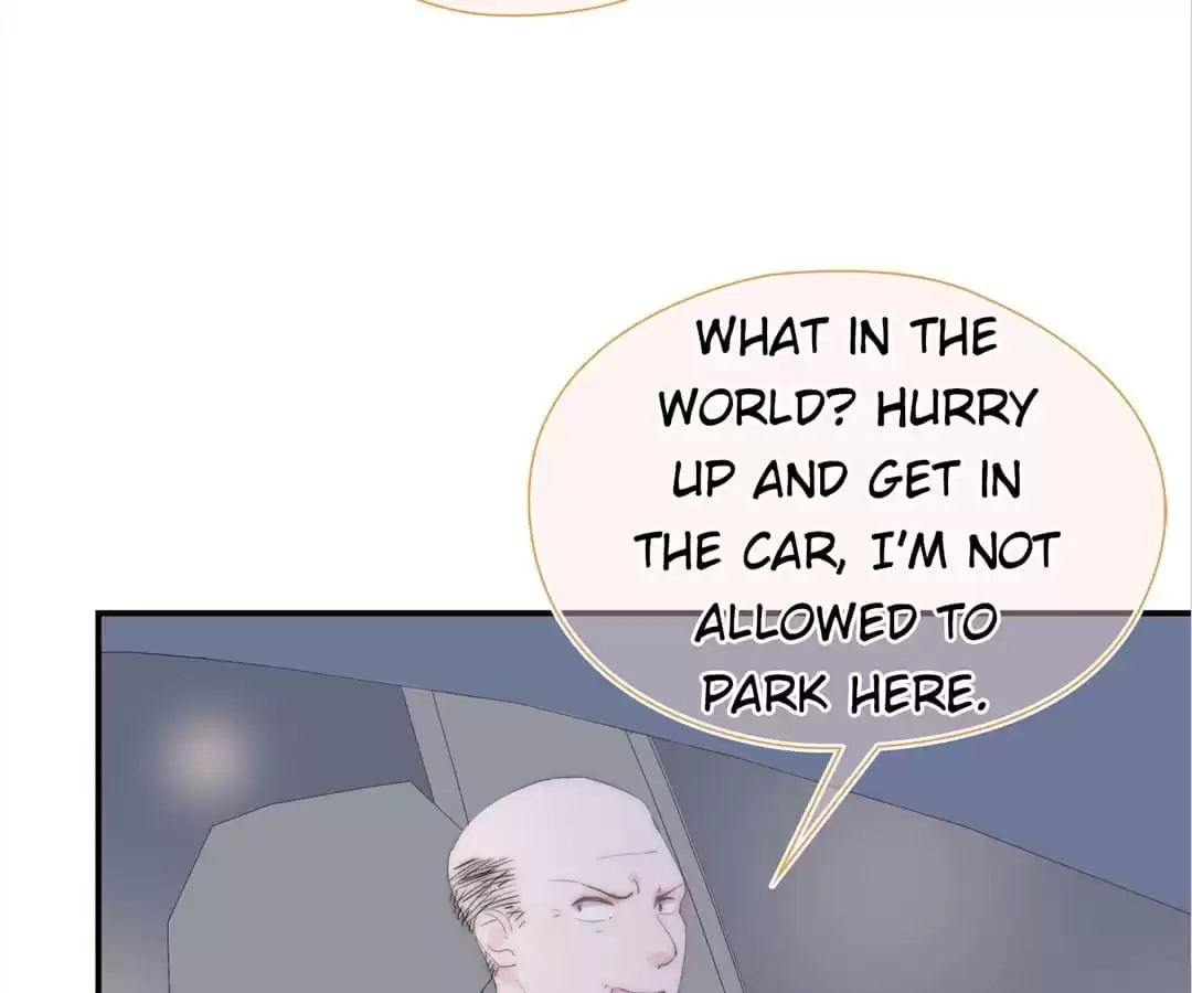 The Cinderella's Trap Chapter 33 page 48 - 