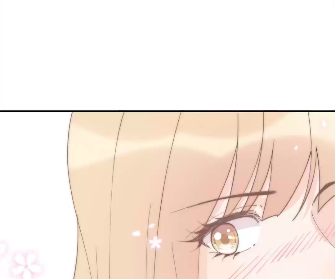 The Cinderella's Trap Chapter 40 page 81 - 