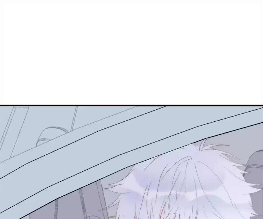 The Cinderella's Trap Chapter 55 page 72 - 