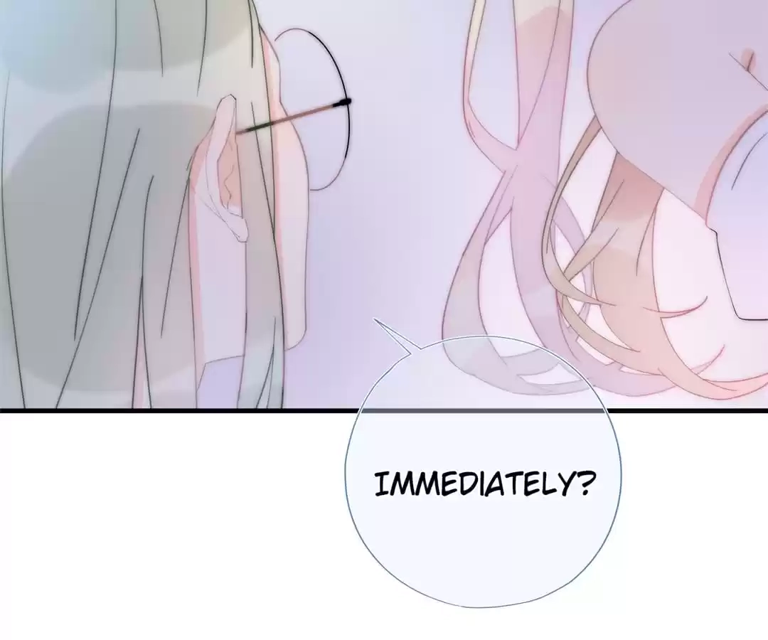 The Cinderella's Trap Chapter 61 page 15 - 