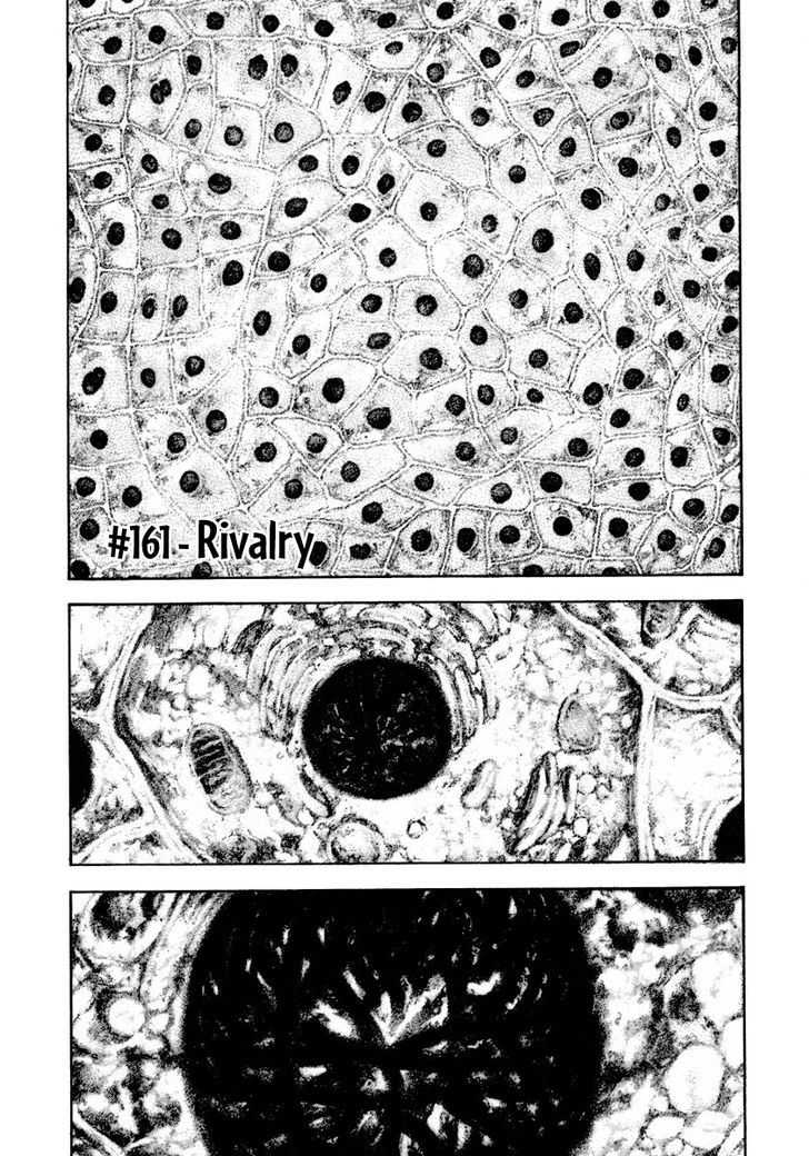 Read The Climber chapter 161 image 2 on Lezhin