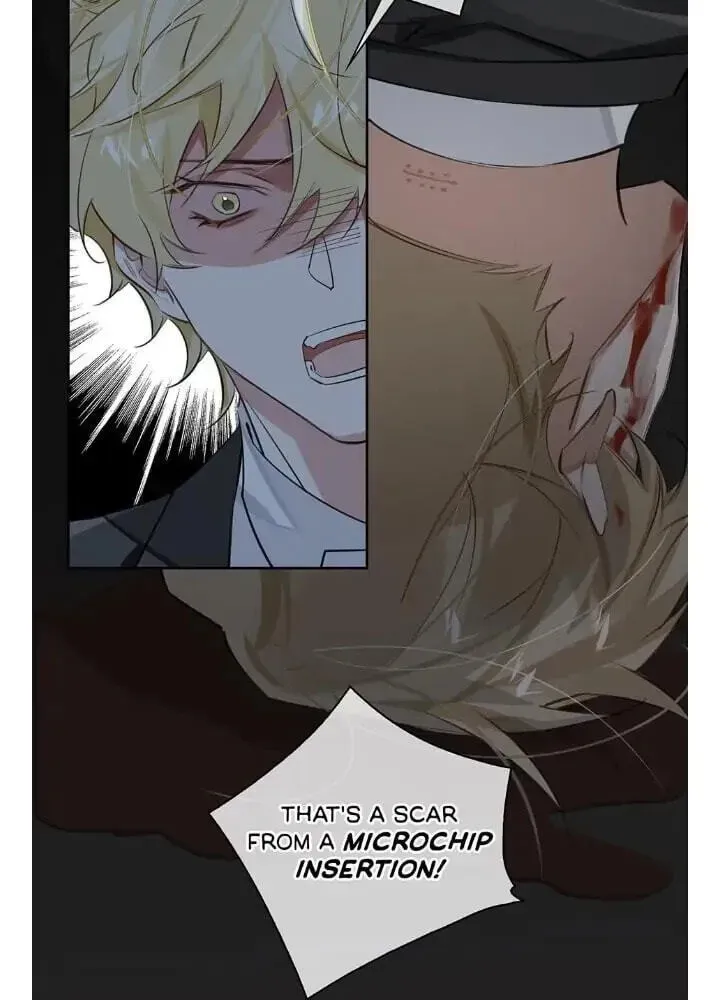 Read The Code of Silence chapter 69 image 13 on Lezhin