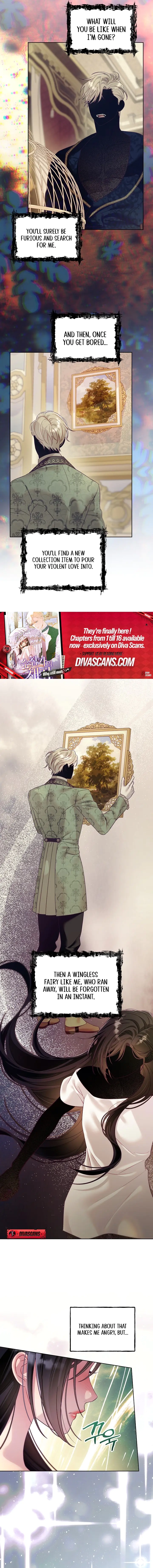 Read The Collector