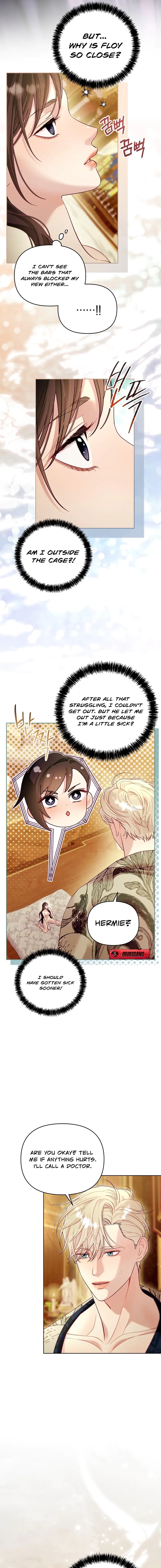 Read The Collector